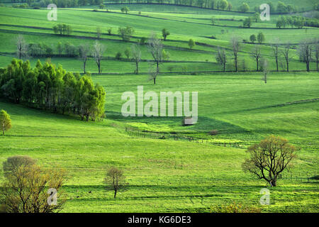 Dolny Slask, Silesia, Suche Mountains, Wałbrzych Mountains, Middle Sudetes, landscapes, natural, spring, Polska, Poland, Stock Photo