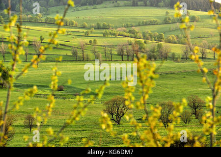 Dolny Slask, Silesia, Suche Mountains, Wałbrzych Mountains, Middle Sudetes, landscapes, natural, spring, Polska, Poland, Stock Photo