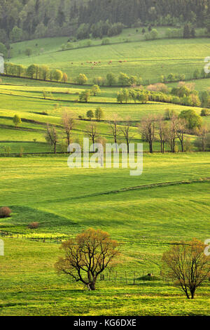 Dolny Slask, Silesia, Suche Mountains, Wałbrzych Mountains, Middle Sudetes, landscapes, natural, spring, Polska, Poland, Stock Photo