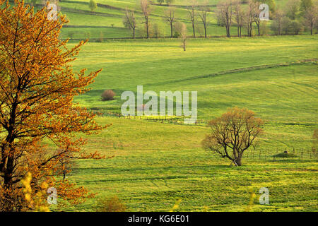 Dolny Slask, Silesia, Suche Mountains, Wałbrzych Mountains, Middle Sudetes, landscapes, natural, spring, Polska, Poland, Stock Photo