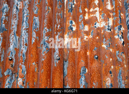 Old rusted corrugated tin roof panels on a garage roof. Dumfries and Galloway, Scottish borders, Scotland Stock Photo