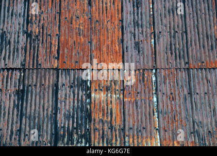 Old rusted corragated tin roof panels on a garage roof. Dumfries and Galloway, Scottish borders, Scotland Stock Photo