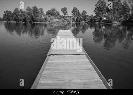 wooden pier in the lake with florest trees scenery background. Stock Photo