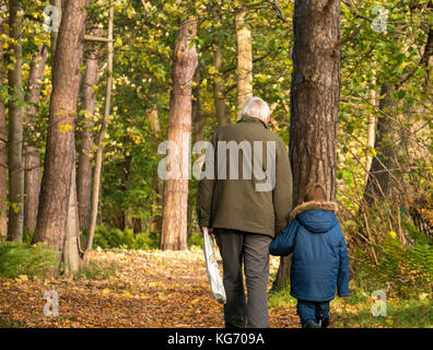 A grandfather holding hand of young grandson walking on woodland path covered in dead leaves on a cold Autumn day, Scotland, UK Stock Photo