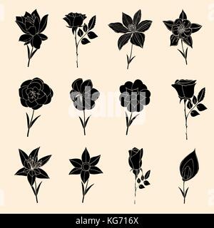 Doodles of Flowers collection. Vector illustration image Stock Vector