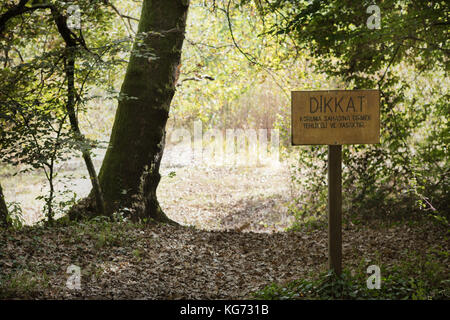 in front of an autumn  forest with beware signboard Stock Photo