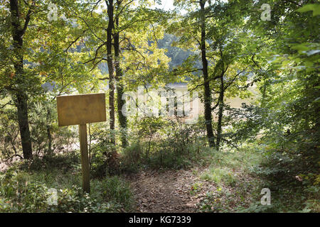 empty signboard in front of an autumn  forest Stock Photo