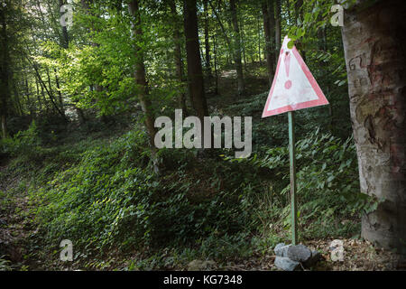 empty signboard in front of an autumn  forest Stock Photo