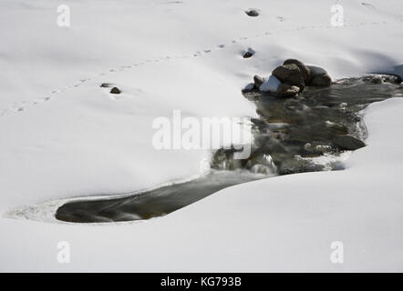 A little mountain river vanishing under snow in Austria. Stock Photo