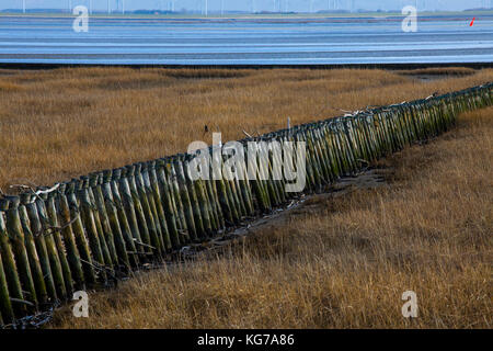 Unesco Weltnaturerbe Wattenmeer, Norderney,Wadden Sea World Heritage Stock Photo