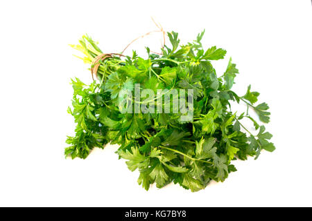 Fresh parsley isolated on white background, tied with rope. Stock Photo