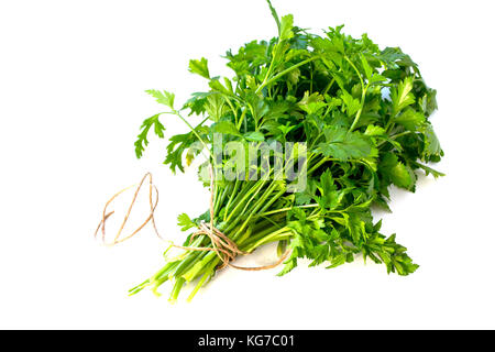 Fresh parsley isolated on white background, tied with rope. Stock Photo