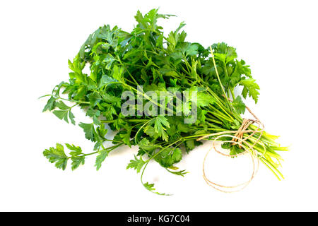 Fresh parsley isolated on white background, tied with rope. Stock Photo