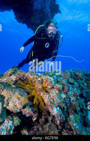 Cave Rock, Eleuthera, Bahama Islands Stock Photo