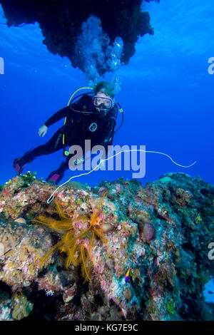 Cave Rock, Eleuthera, Bahama Islands Stock Photo