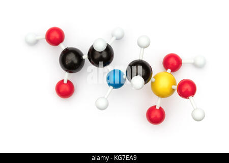 Plastic ball-and-stick model of the systemic herbicide glyphosate (chemical formula: C3H8NO5P) on a white background. Stock Photo