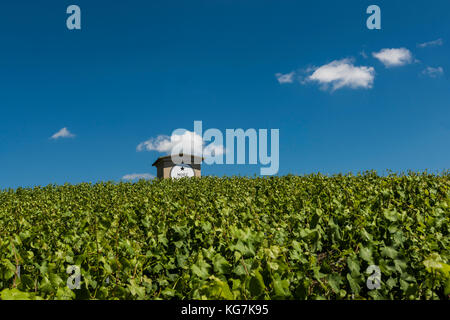 Moet & Chandon Champagne House, Epernay, France Stock Photo - Alamy