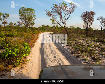 Sandy road crossing the remote Jalapão National Park, Tocantins estate, Brazil Stock Photo