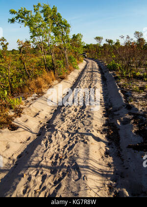 Sandy road crossing the remote Jalapão National Park, Tocantins estate, Brazil Stock Photo