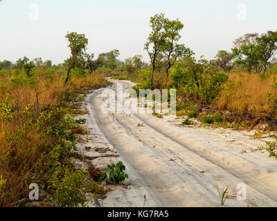 Sandy road crossing the remote Jalapão National Park, Tocantins estate, Brazil Stock Photo