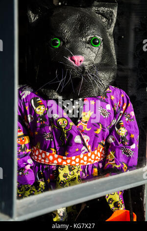 A Halloween themed window display in Choccywoccydoodah a 