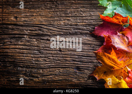 Autumn Leaves. Autumn colorful leaves on rustic wooden table. Stock Photo