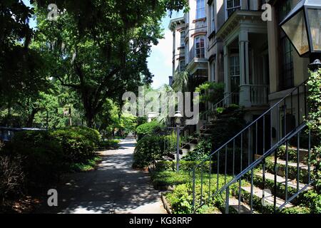 Historic buildings on tree lined street, in the historic district, Savannah, Georgia, USA Stock Photo
