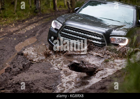 Four wheel drive vehicle bogged down in soft mud on a forest track during an off-road expedition Stock Photo