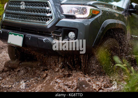 Spinning wheels of a 4 wheel drive car in mud as it tries to exit from a boggy patch of road on a forest track Stock Photo