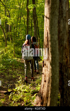 Two women backpackers hiking in a shady leafy green forest walking along a narrow footpath winding between the trees Stock Photo