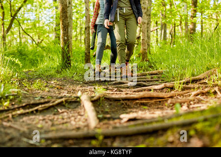 Two female hikers walking along a forest footpath strewn with exposed roots and branches in a low angle view of their legs Stock Photo