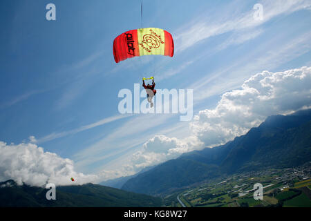 Skydiver is flying under his parachute and going to land on the green grass. Thereby he is slowing down the canopy by pulling the breaks. Stock Photo