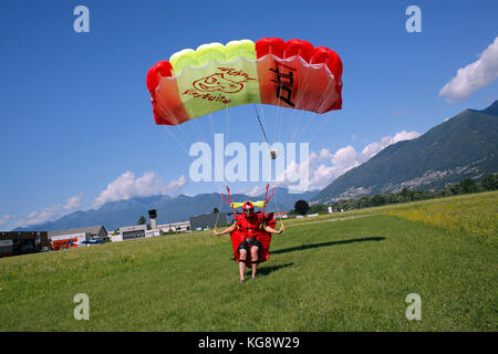 Skydiver is flying under his parachute and going to land on the green grass. Thereby he is slowing down the canopy by pulling the breaks. Stock Photo