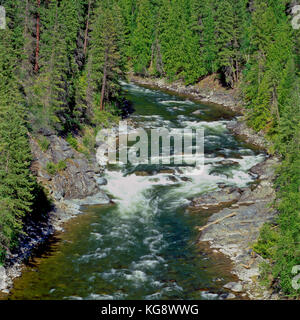 rapids on the yaak river in kootenai national forest near yaak, montana Stock Photo