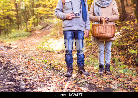 Senior couple on a walk in autumn forest. Stock Photo