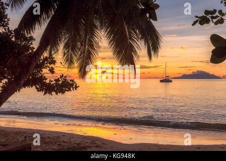 Tropical beach at sunset Stock Photo