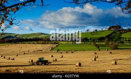 Autumn light in the Scottish Borders near Broughton Stock Photo