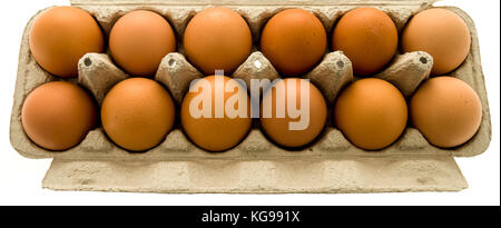 A dozen brown eggs in a carton on an isolated background. Stock Photo