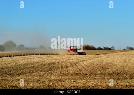 Combine harvest a corn crop in on a large farm in northeastern Illinois near Burlington, Illinois, USA. Stock Photo