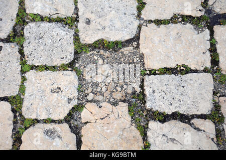old limestone pavement Stock Photo