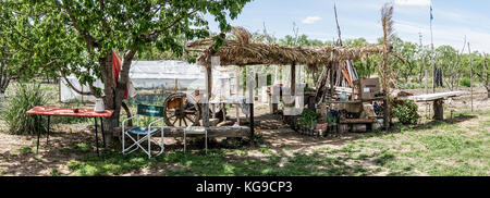 Our outdoor dining area and the green house Stock Photo