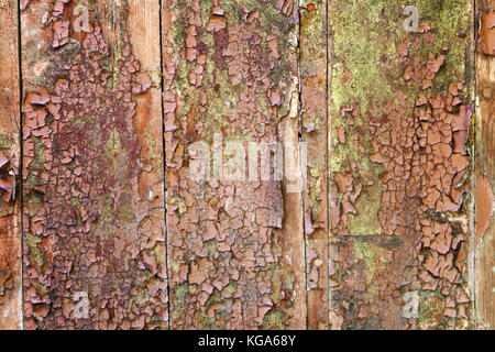 wooden board white old style abstract background objects for furniture.wooden panels is then used.horizontal. Stock Photo