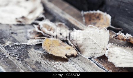 Fallen dry autumn leaves with hoarfrost lay on wooden bench in park, early frosts background photo Stock Photo