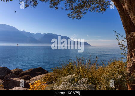 Alps mountains upon Geneva lake by beautiful day, Montreux, Switzerland. Stock Photo