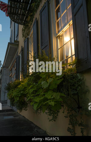 A historical building with plants outside in Charleston, SC. Stock Photo