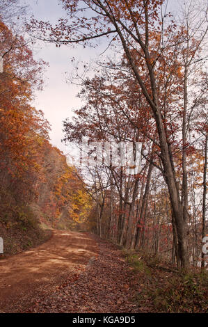 A beautiful winding dirt road through the fall woods in northwest Pennsylvania Stock Photo