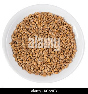 Montreal Botanical Gardens Travel  Leisure