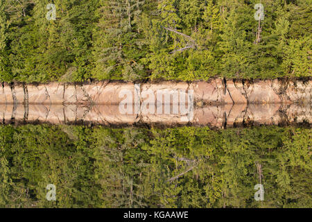 Abstract wilderness forest and water Stock Photo