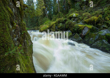 Swift Rainforest River Stock Photo