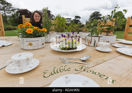 Pictured: Tea Party in the Rose Garden with designer Kirsti Davies. Kew Gardens launches summer festival 'IncrEdibles' with a 'Tutti Frutti Boating Experience' on Palm House Pond designed by Bompas & Parr, a 'Bouncy Carrot Patch' and an 'Alice in Wonderland'-inspired Tea Party in the Rose Garden. The Festival runs from 25 May to 3 November 2013, boating finishes 1 September. Stock Photo